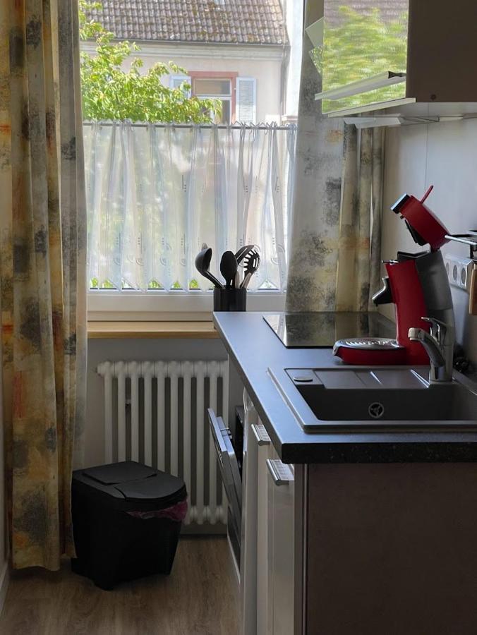 Zum Schwanen Garni Hotel Buggingen Eksteriør billede